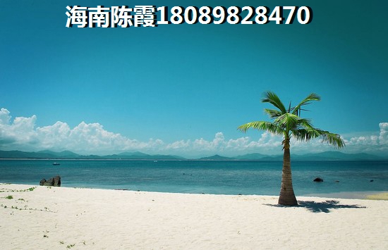 《長征精神指導下的房地產市場分析文昌郊區房價的現狀與根本原因探討》
